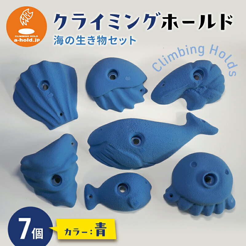 クライミングホールド・海の生き物セット クライミング 遊び 子供 トレーニング リサイクル素材 耐久 環境保護