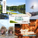 【ふるさと納税】山ノ内町内宿泊補助券(1枚)1年間有効 5,000円分 旅行 宿泊券 ホテル 旅館 チケット 宿泊 補助券 志賀高原 湯田中渋温泉郷 北志賀高原 地獄谷野猿公苑 温泉 ギフト 自然 観光 長野県 信州 冬 スキー