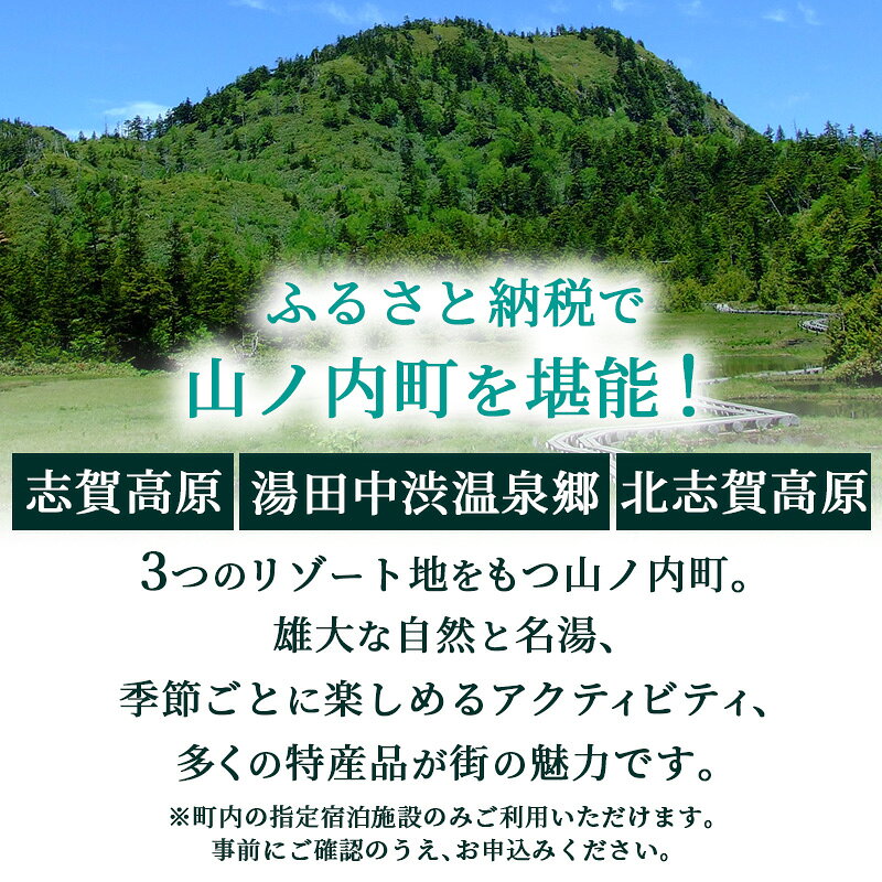 【ふるさと納税】山ノ内町内宿泊補助券（1枚）1年間有効 5,000円分 旅行 宿泊券 ホテル 旅館 チケット 宿泊 補助券 志賀高原 湯田中渋温泉郷 北志賀高原 地獄谷野猿公苑 温泉 ギフト 自然 観光 長野県 信州 冬 スキー