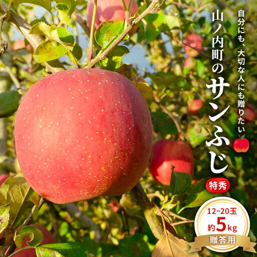 【ふるさと納税】贈りたい味、笑顔届ける 山ノ内育ちのりんご サンふじ 贈答用 特秀5kg りんご 果物 お届け:2025年12月上旬~下旬 【ふるさと納税】贈りたい味、笑顔届ける 山ノ内育ちのりんご サンふじ 贈答用 特秀5kg りんご 果物 お届け:2025年12月上旬~下旬