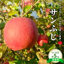【ふるさと納税】今日を癒すひと玉 私のサンふじ サンふじ 家庭用 5kg りんご 果物 お届け:2025年12月上旬〜下旬