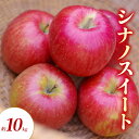 【ふるさと納税】シナノスイート 約10kg りんご リンゴ 林檎 果物 フルーツ 長野県 長野 山ノ内町 お届け:2025年10月上旬~11月上旬