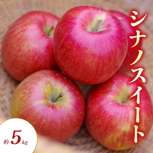 【ふるさと納税】シナノスイート 約5kg りんご リンゴ 林檎 果物 フルーツ 長野県 長野 山ノ内町 お届け:2025年10月上旬~11月上旬 【ふるさと納税】シナノスイート 約5kg りんご リンゴ 林檎 果物 フルーツ 長野県 長野 山ノ内町 お届け:2025年10月上旬~11月上旬