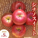 【ふるさと納税】シナノスイート 家庭用 約5kg りんご リンゴ 林檎 果物 フルーツ 長野県 長野 山ノ内町 お届け:2025年10月上旬~11月上旬