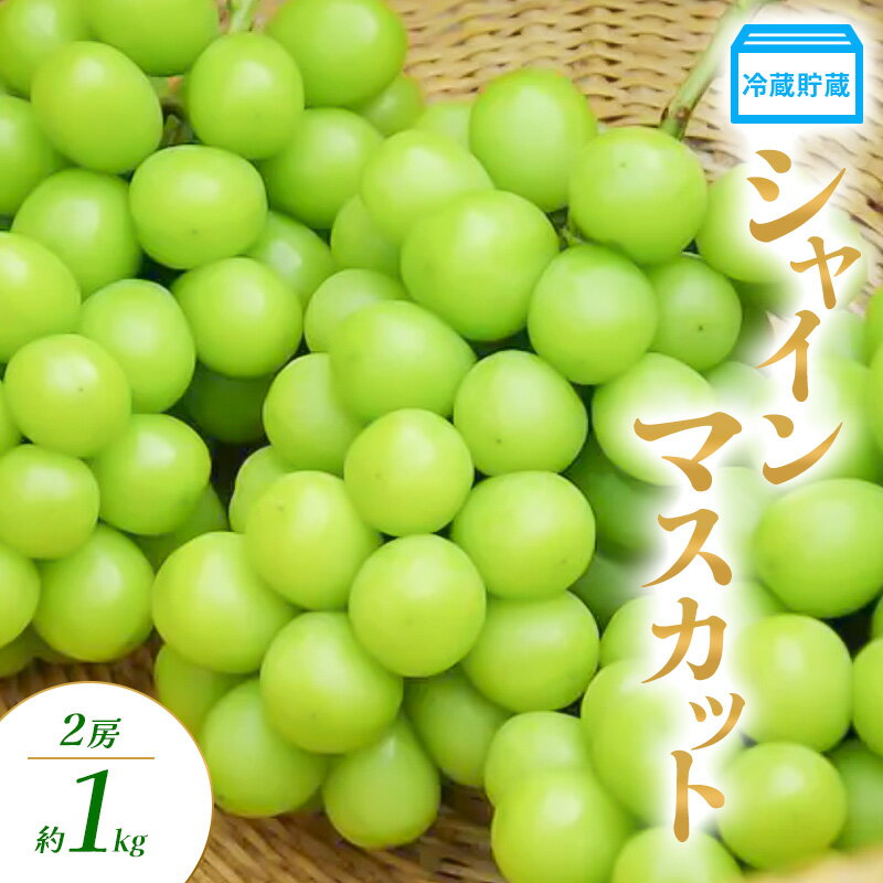 【ふるさと納税】冷蔵貯蔵 シャインマスカット 2房 約1kg ぶどう ブドウ 葡萄 マスカット 果物 フルーツ 長野県 長野 山ノ内町 お届け:2025年12月上旬~12月下旬