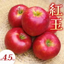 【ふるさと納税】紅玉 約4.5kg りんご リンゴ 林檎 果物 フルーツ 長野県 長野 山ノ内町 お届け:2025年9月下旬~10月下旬