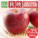 【ふるさと納税】秋映 訳あり家庭用 約5kg 12~23玉 りんご 果物 訳あり 信州 長野 お届け:2025年10月上旬~中旬