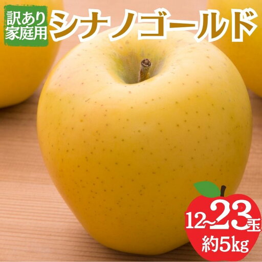 【ふるさと納税】シナノゴールド 訳あり家庭用 約5kg 12~23玉 りんご 果物 訳あり 信州 長野 お届け:2025年10月下旬~11月中旬 【ふるさと納税】シナノゴールド 訳あり家庭用 約5kg 12~23玉 りんご 果物 訳あり 信州 長野 お届け:2025年10月下旬~11月中旬