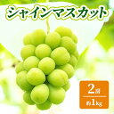 【ふるさと納税】シャインマスカット 約1kg 2房 ぶどう フルーツ 果物 デザート 長野県 山ノ内町 お届け:2025年9月中旬〜2025年10月下旬