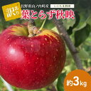 【ふるさと納税】【訳あり】秋映 約3kg リンゴ りんご フルーツ 果物 お取り寄せ 長野県 山ノ内町 お届け:2025年9月下旬~10月下旬まで
