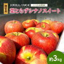 【ふるさと納税】【贈答用】葉とらずシナノスイート 約3kg リンゴ りんご フルーツ 果物 お取り寄せ 長野県 山ノ内町 お届け:2025年10月中旬~10月下旬まで