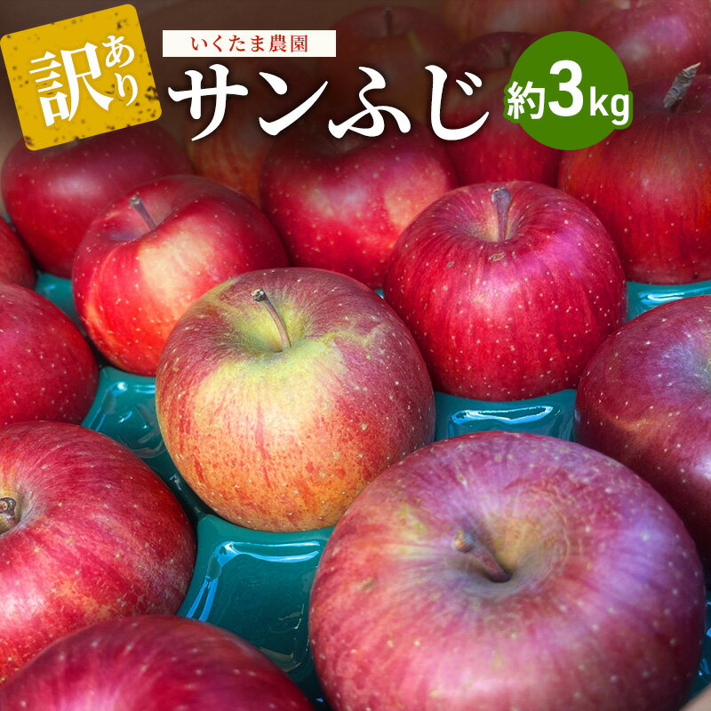 【ふるさと納税】【訳あり】サンふじ 約3kg リンゴ りんご フルーツ 果物 お取り寄せ 長野県 山ノ内町 お届け:2025年11月中旬~12月下旬まで