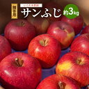 【ふるさと納税】【贈答用】葉とらずサンふじ 約3kg リンゴ りんご フルーツ 果物 お取り寄せ 長野県 山ノ内町 お届け:2025年11月中旬〜12月下旬まで