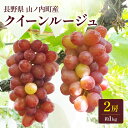 【ふるさと納税】クイーンルージュ2房約1kg ぶどう ブドウ 果物 くだもの フルーツ 信州 長野 お届け:2025年10月上旬~10月下旬
