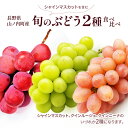 【ふるさと納税】シャインマスカットを含む旬のぶどう2種食べ比べ ぶどう ブドウ 果物 くだもの フルーツ 信州 長野 お届け:2025年10月上旬~10月下旬