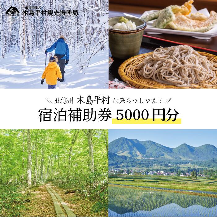 【ふるさと納税】木島平村 宿泊補助券 5000円分 | チケット 金券 旅行 旅行券 ホテル券 宿泊 補助 スキ..