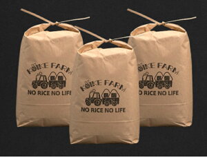 【ふるさと納税】RD-3　小池ファーム【定期便年4回】特別栽培米コシヒカリ15kg