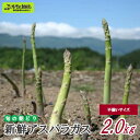 【ふるさと納税】旬の朝どり新鮮アスパラガス 不揃いサイズ 合計2.0kg | J-2