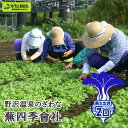 【ふるさと納税】野沢温泉のざわな蕪四季會社 蕪主出資2口 | P-2 ◇