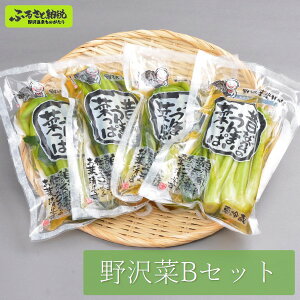 【ふるさと納税】野沢菜Bセット | A-5b