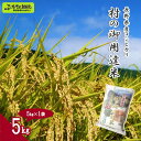 【ふるさと納税】村の御用達米 5kg | K-2|白米 精米 コシヒカリ こしひかり ごはん ご飯 長野県 信州