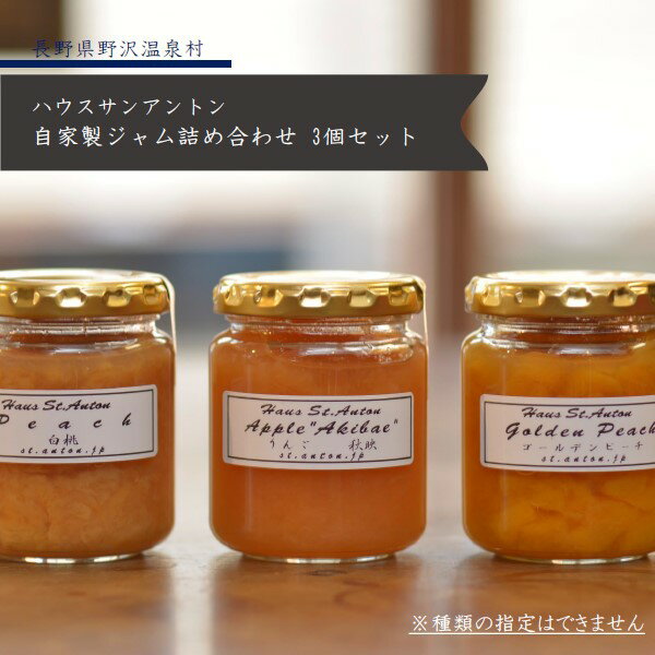 【ふるさと納税】自家製ジャム詰め合わせ3個セット※種類指定不可※|無添加果物果実フルーツ杏プルーンネクタリンブルーベリーラフランスブルーベリーももりんご加工食品瓶詰め長野県信州野沢温泉村|A-2