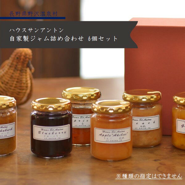 【ふるさと納税】自家製ジャム詰め合わせ6個セット※種類指定不可※|無添加果物果実フルーツ杏プルーンネクタリンブルーベリーラフランスブルーベリーももりんご加工食品瓶詰め長野県信州野沢温泉村|B-3