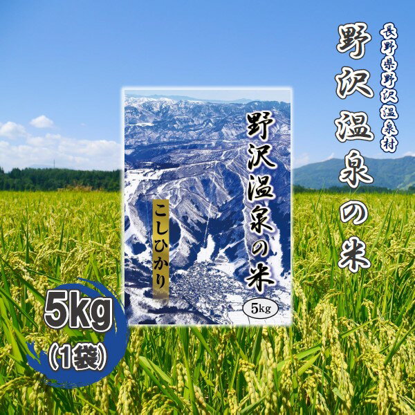 【ふるさと納税】令和4年度産 野沢温泉の米 5kg（1袋）※玄米不可※ | お米 白米 コシヒカリ こしひかり 精米 単一原料米 長野県 信州 野沢温泉村 | K-3のサムネイル