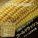 1位! 口コミ数「13件」評価「4.23」信濃町名産とうもろこし『ファームかずとのゴールドラッシュ 10本/20本セット』2025年夏の予約受付開始!|2025年8月上旬のお届け予定 朝採れのトウモロコシを生産者から直送【長野県信濃町ふるさと・・・