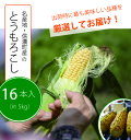 【ふるさと納税】信濃町特産とうもろこし16本セット