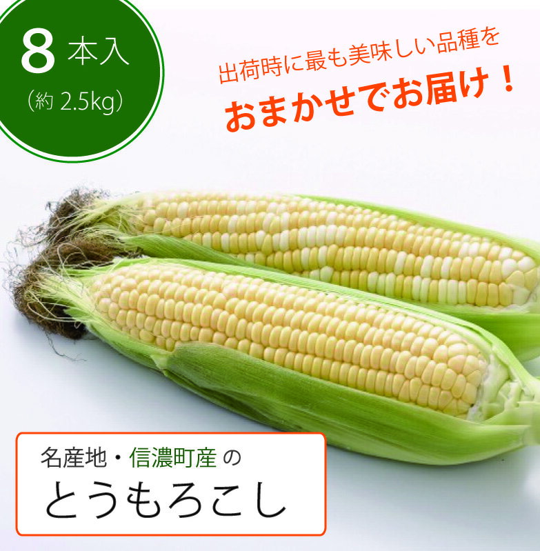 採れたて最旬の『信濃町特産とうもろこし(8本セット:季節限定)』 出荷時期により最も美味しい品種を発送します