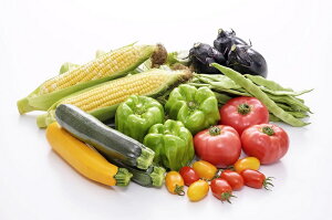 【ふるさと納税】信濃町旬のお野菜おまかせセット|注文時に最旬な野菜を3〜5種厳選。【夏季限定】