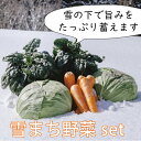 【ふるさと納税】信濃町産 雪まち野菜セット 【冬季限定】キャベツ　にんじん　ほうれんそう　くらかけ豆　雪中野菜