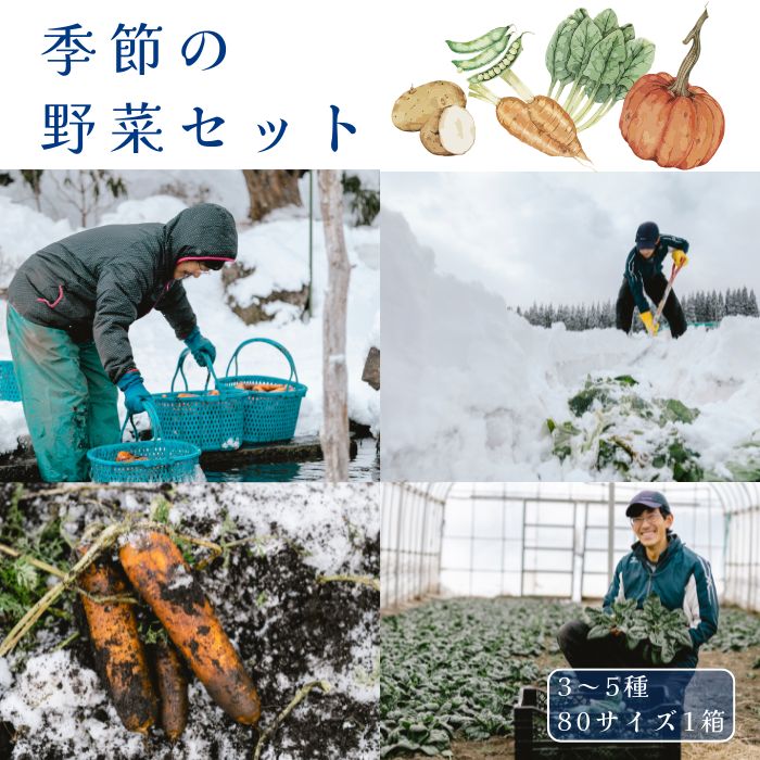 【ふるさと納税】季節の野菜セット（3～5種）季節・数量限定｜寒じめほうれん草、雪中にんじんといった..