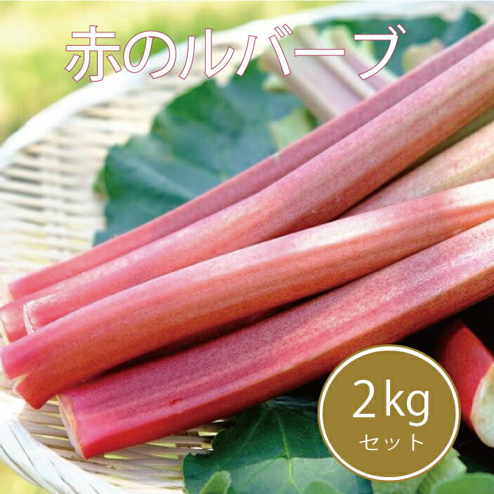 信州信濃町特産ルバーブ 赤 計2kg[初夏限定]