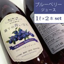 8位! 口コミ数「0件」評価「0」ぶんぶく亭「Stone ブルーベリージュース（1リットル / 2本セット）」果汁25％｜人工甘味料・保存料・着色料不使用