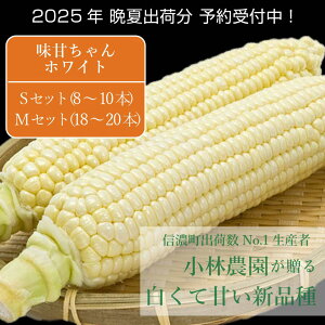 【ふるさと納税】2025年夏の予約受付開始!小林農園の白くて甘いとうもろこし『味甘ちゃんホワイト(みかんちゃんほわいと)』4kg(8~10本)/ 9本(18~20本)9月上旬~9月下旬出荷【長野県信濃町】