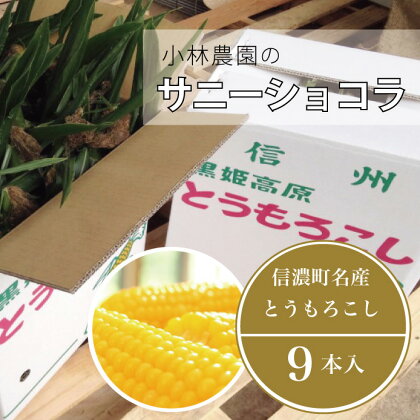 令和6年分　小林農園のとうもろこし「サニーショコラ（2Lサイズ9本セット）」 長野県信濃町産｜2024年8月上旬のお届け予定☆朝採りの信州信濃町産トウモロコシを生産者から直送　産地直送ギフト