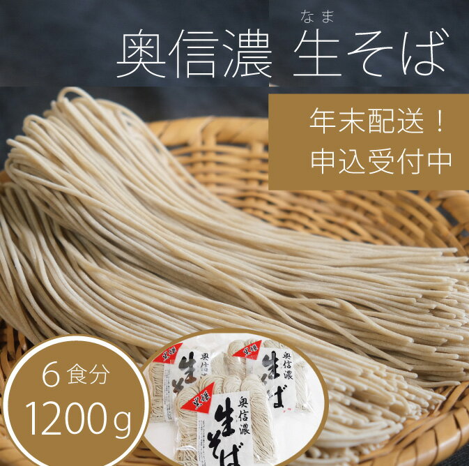 【ふるさと納税】 追加分！年越しそば「奥信濃 黒姫生(なま）そば」6食セット 【年末お届け】 そば 蕎麦 ソバ限定100セット【長野県信濃町】のサムネイル
