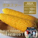 【ふるさと納税】TAKA農園『恵味(めぐみ)スター』2Lサイズ(1本450g相当)10本セット/ 20本セット2026年夏出荷分の予約受付開始! |長野県信濃町名産とうもろこし/スイートコーンの人気品種を早期予約受付中! 令和8年7月15~25日の限定出荷予定