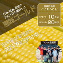 【ふるさと納税】『TAKA農園の恵味(めぐみ)ゴールド』2Lサイズ(1本450g相当)10本セット/ 20本セット2026年夏の予約受付開始! |長野県信濃町名産とうもろこし/スイートコーンの人気品種を予約受付中! 令和8年7月下旬~8月下旬に出荷予定