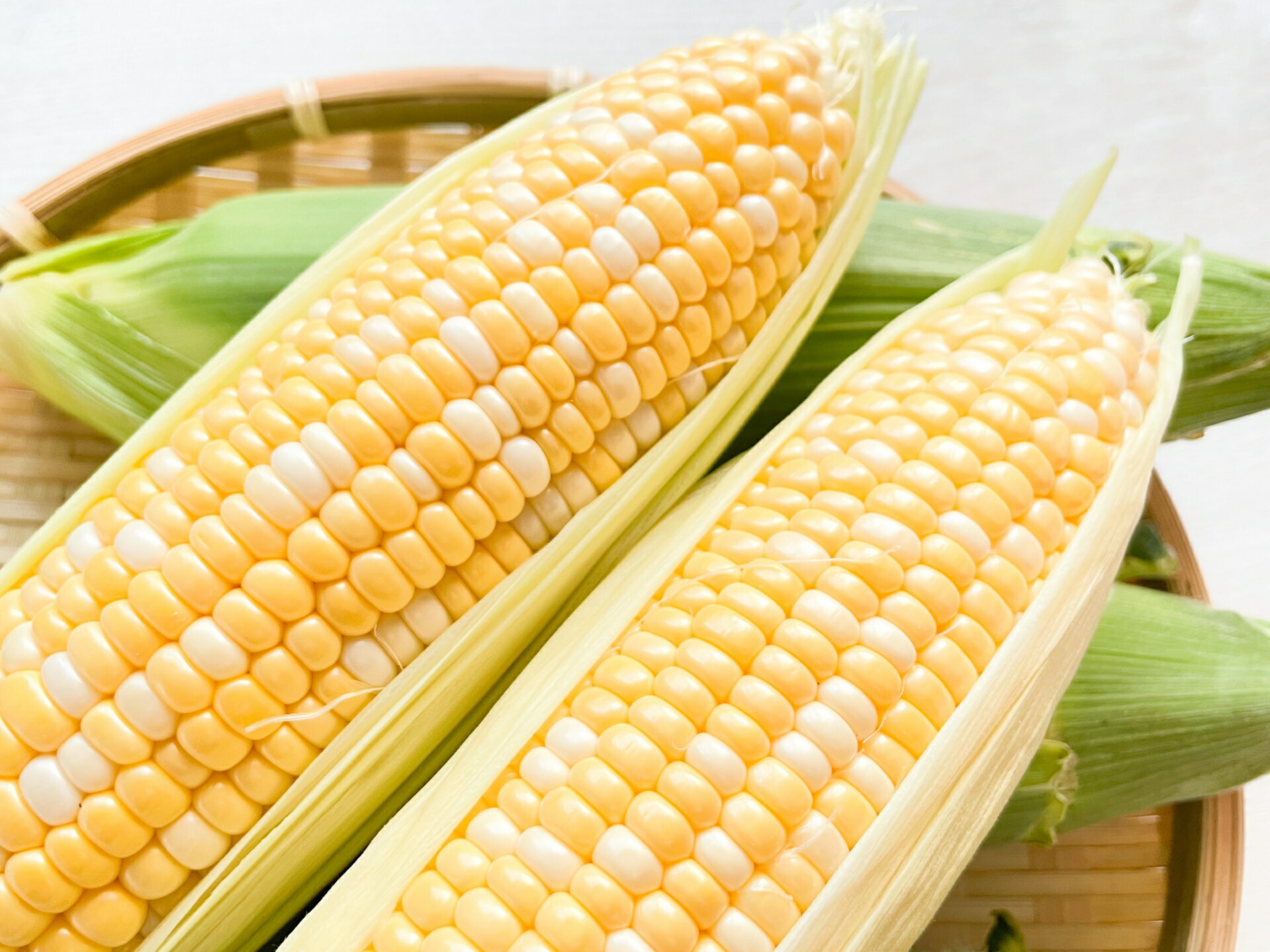 【ふるさと納税】ナツビ農園『どきどきコーン』10本セット（約4.5kg）/ 20本セット（約9kg）2026年夏出荷分のご予約受付開始！　信濃町名産とうもろこし／白と黄色のバイカラー品種、予約受付中！ 令和8年7月下旬～8月下旬に随時出荷【長野県信濃町】