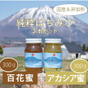 1位! 口コミ数「5件」評価「4.8」天空の黄金はちみつ　300g×2瓶【数量限定】非加熱 国産 アカシア 百花蜜 ギフト