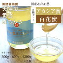 【ふるさと納税】天空の黄金はちみつ 300g×2本 / 600g×2本 / 1200g×2本『数量限定』非加熱の国産はちみつ アカシアと百花蜜のセットです ギフ...