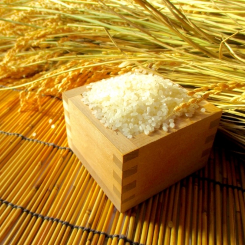 【ふるさと納税】365＊小川村自慢のはぜかけ米5キロ