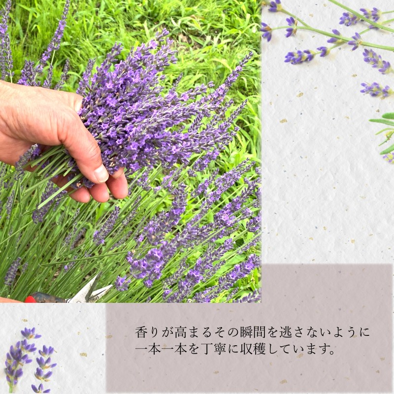 長野県小川村の画像3