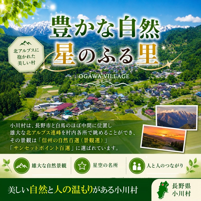 【ふるさと納税】002＊小川村ふるさと納税応援寄附金　返礼品なし