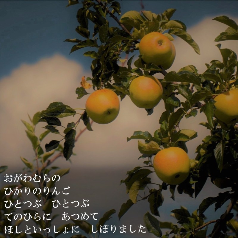 長野県小川村の画像2