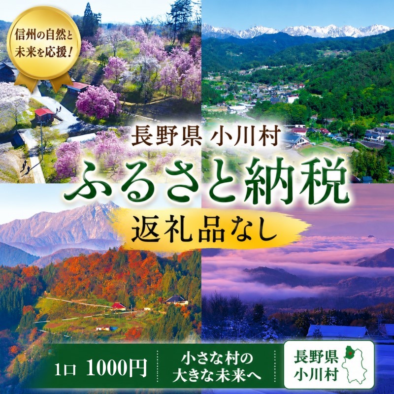 001*小川村ふるさと納税応援寄附金 返礼品なし