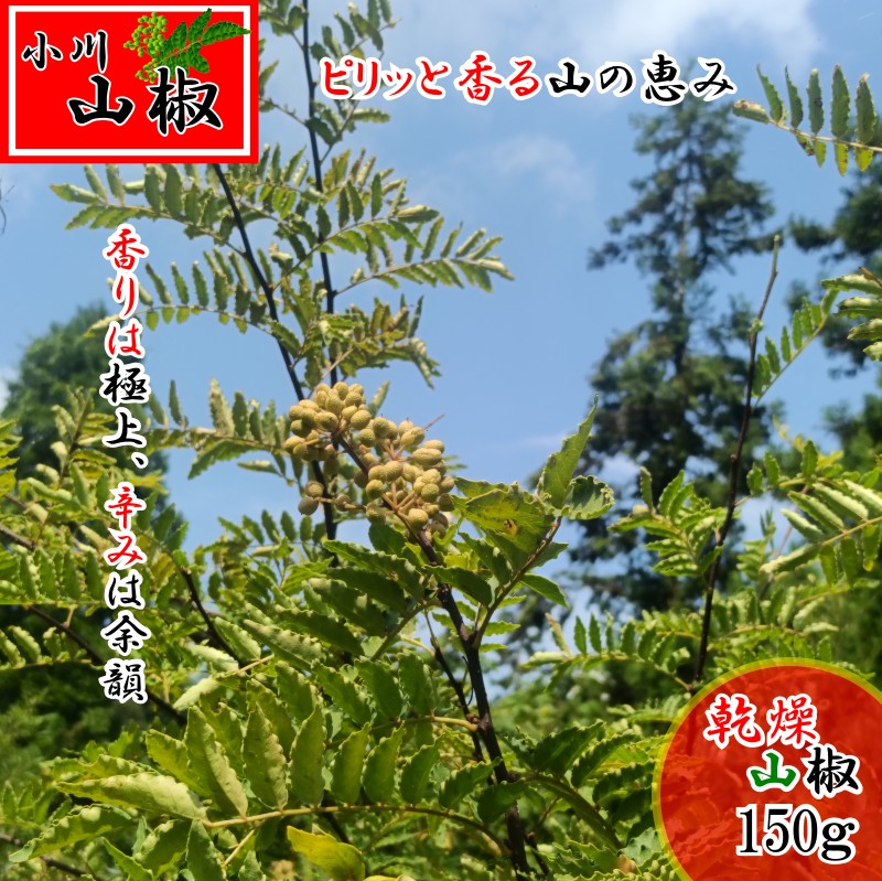 Rakuten - 【ふるさと納税】267＊信州小川村　乾燥山椒の実150g